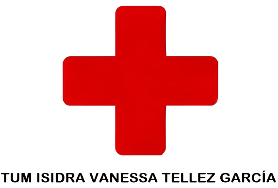 Logotipo de ISIDRA VANESSA TELLEZ GARCIA